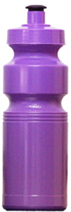 Purple Mini